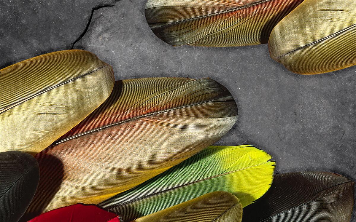 Fototapet pene de aur sclipitoare pe un fundal gri