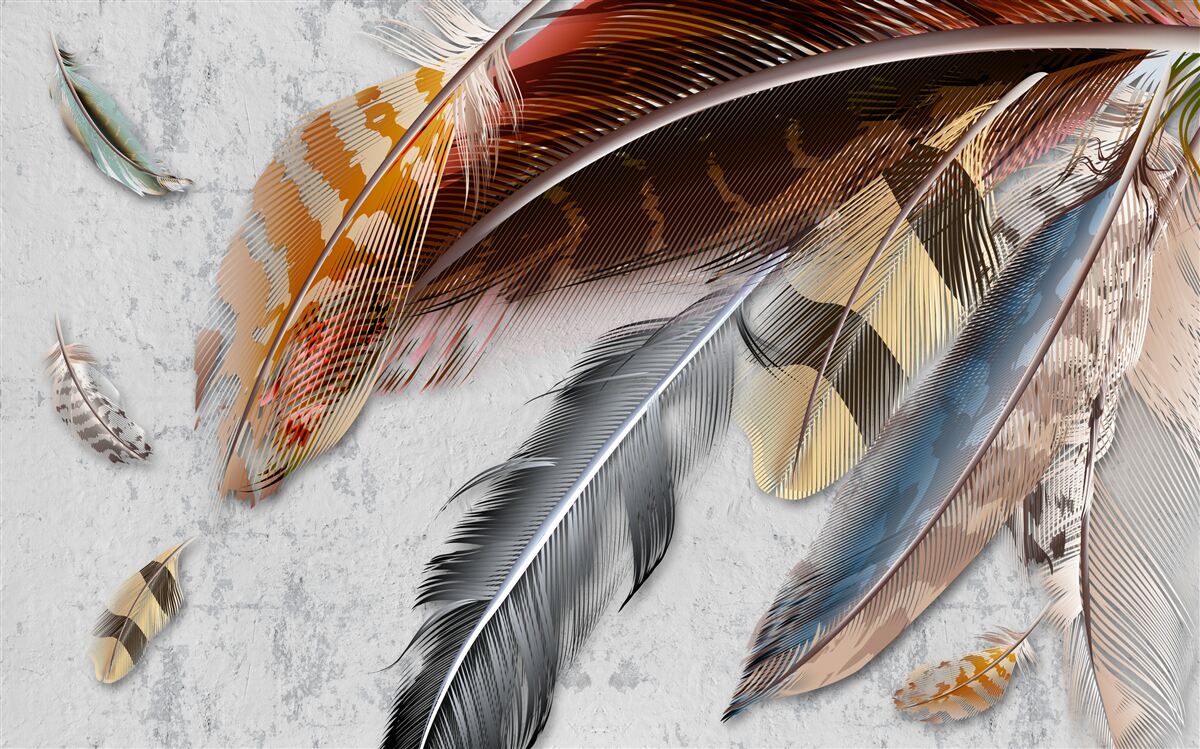 Fototapet pene de diferite specii de păsări