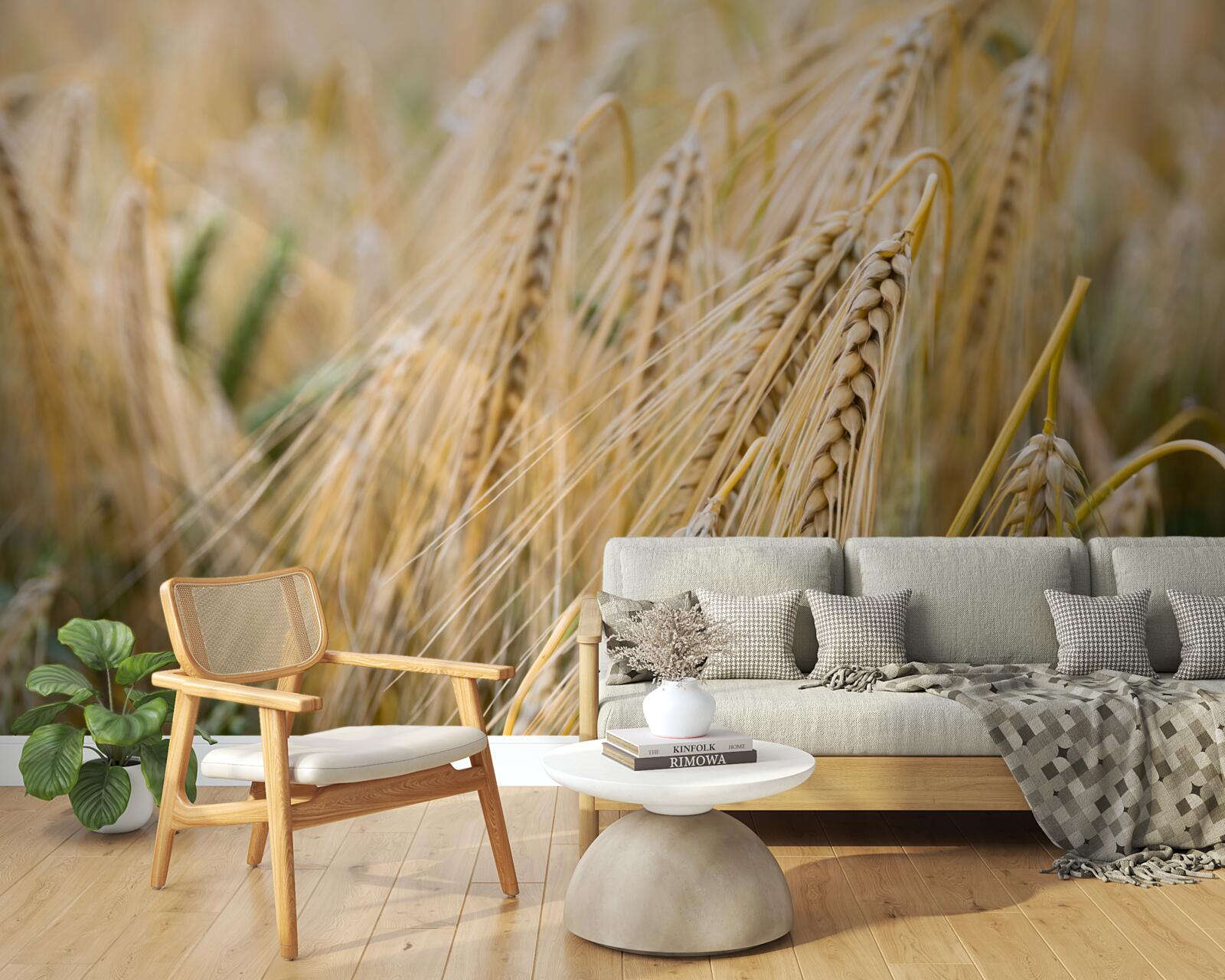 Fototapet câmp de spice de grâu coapte