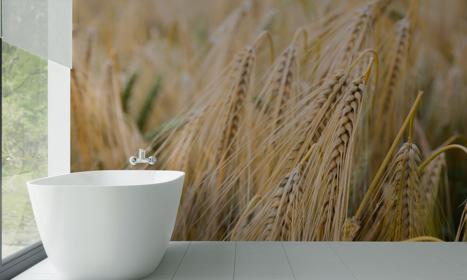 Fototapet câmp de spice de grâu coapte