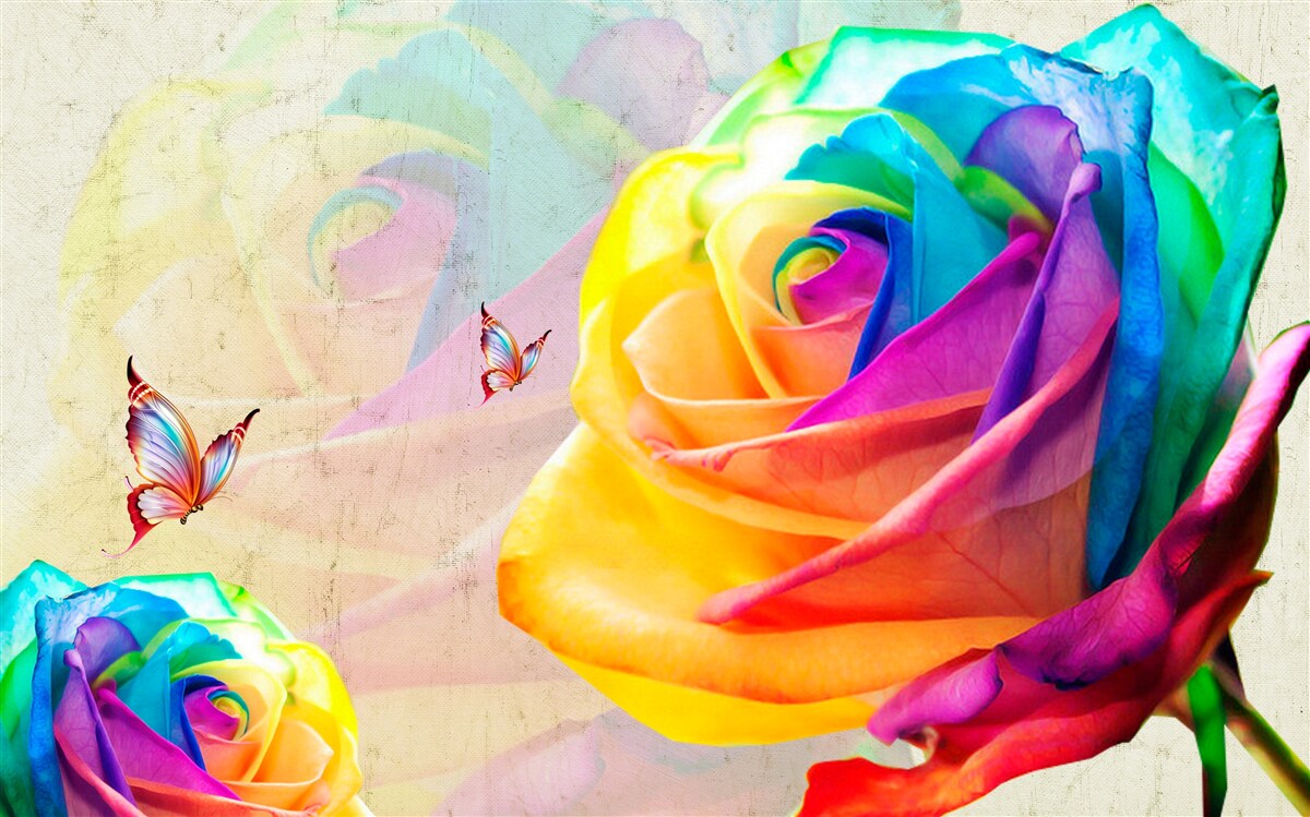 Fototapet trandafir de culoarea curcubeului