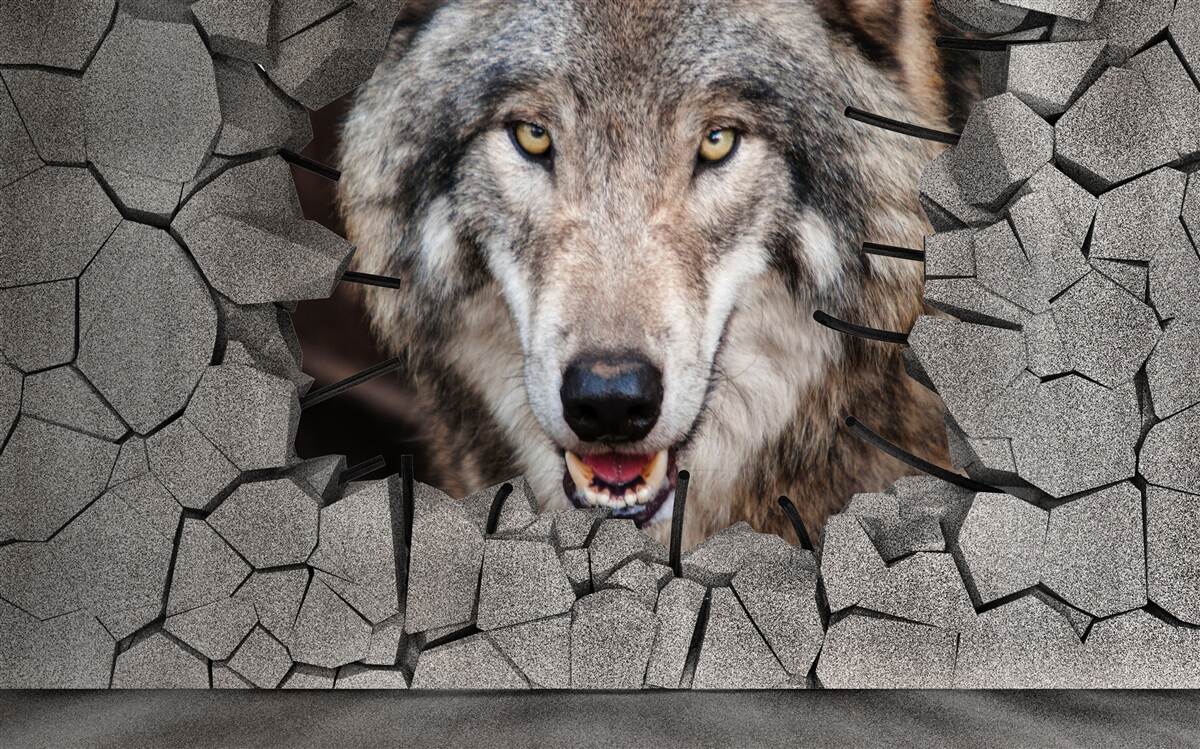 Fototapet lupul din pădure distruge zidul
