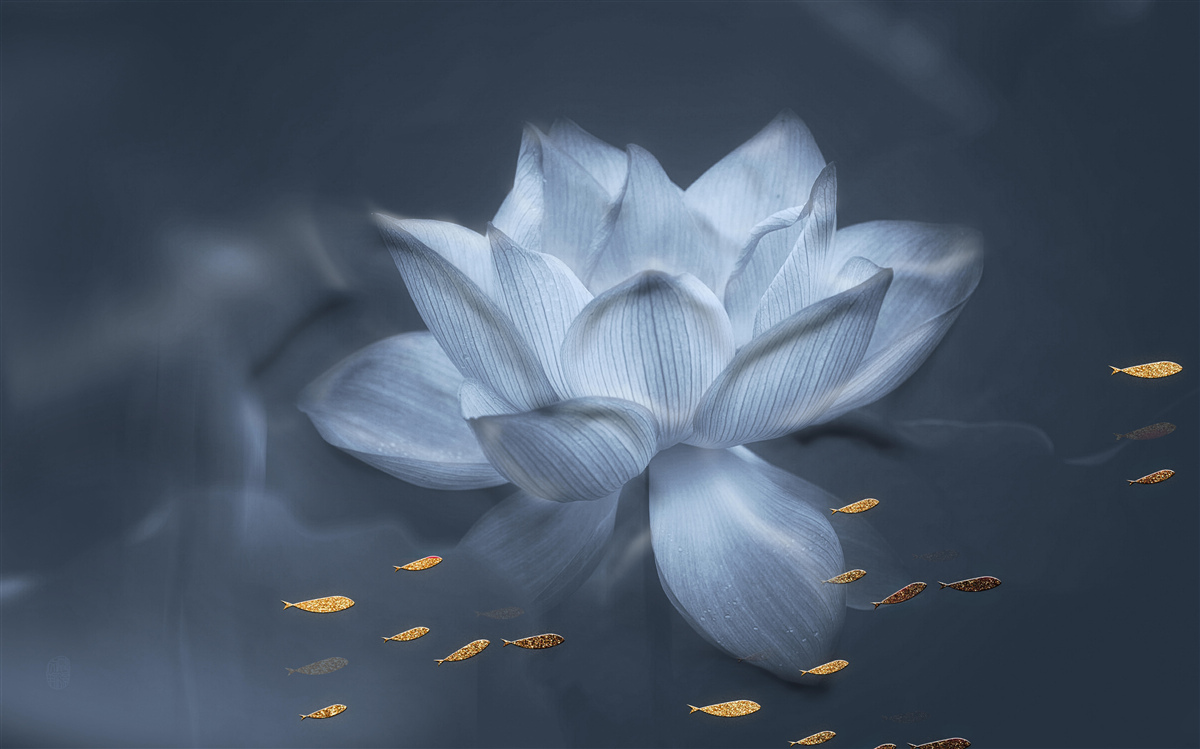 Fototapet peștișor auriu și lotus alb