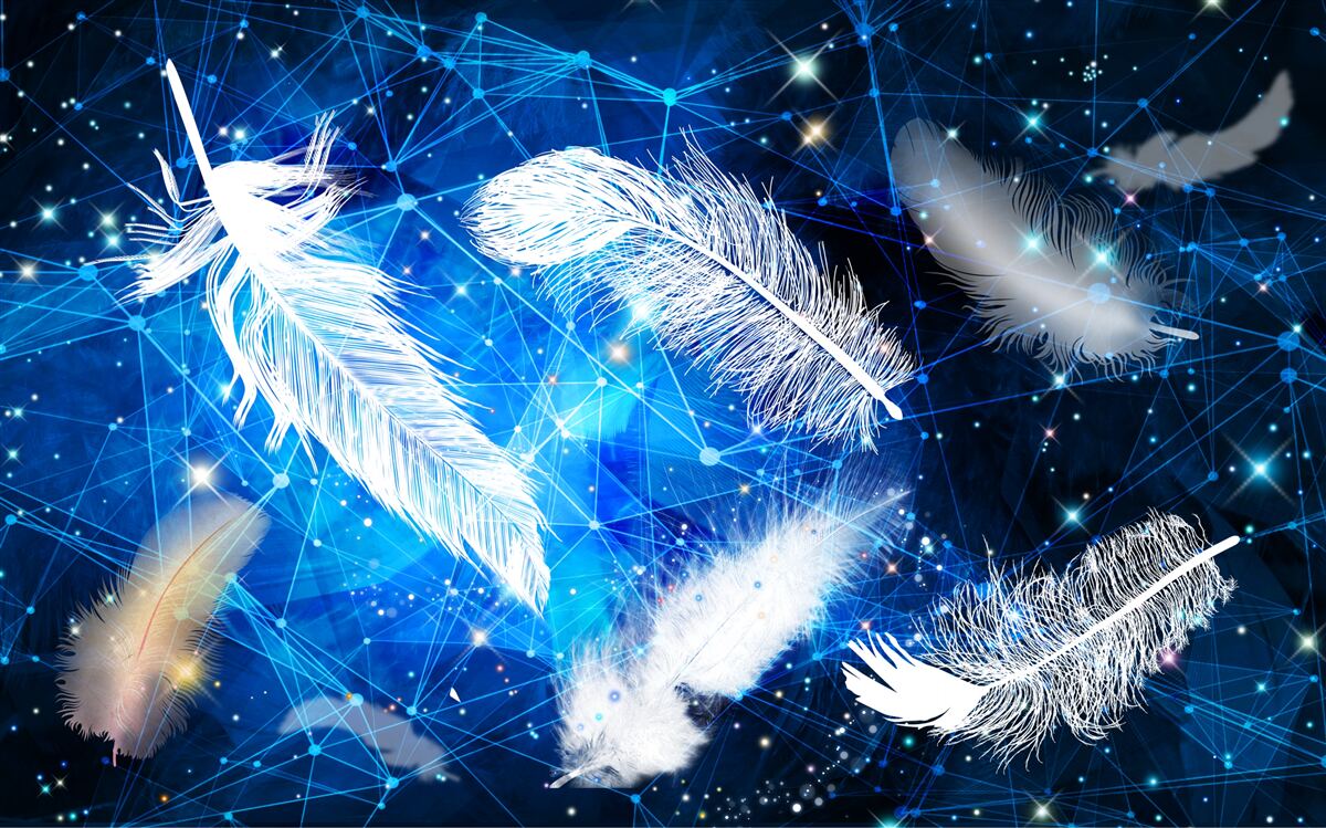 Fototapet cerul înstelat ca fundal pentru penele albe